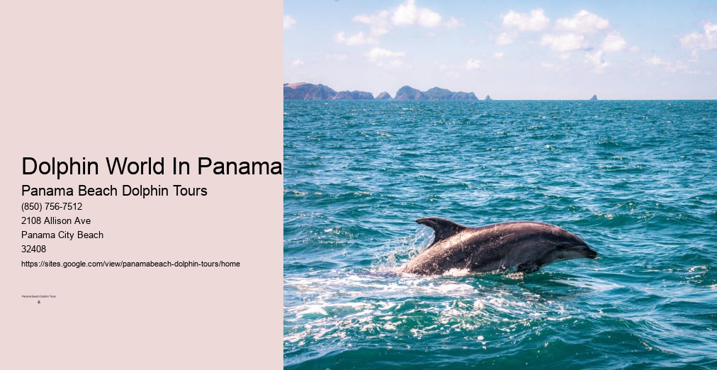 Dolphin Cruise Panama City Florida