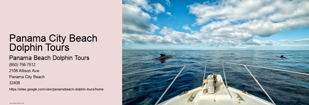 Dolphin Tours Panama City Beach