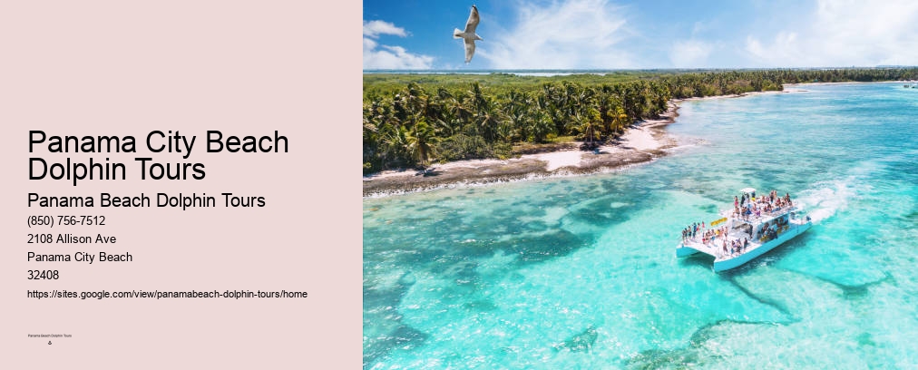 Dolphin Cruise In Panama City