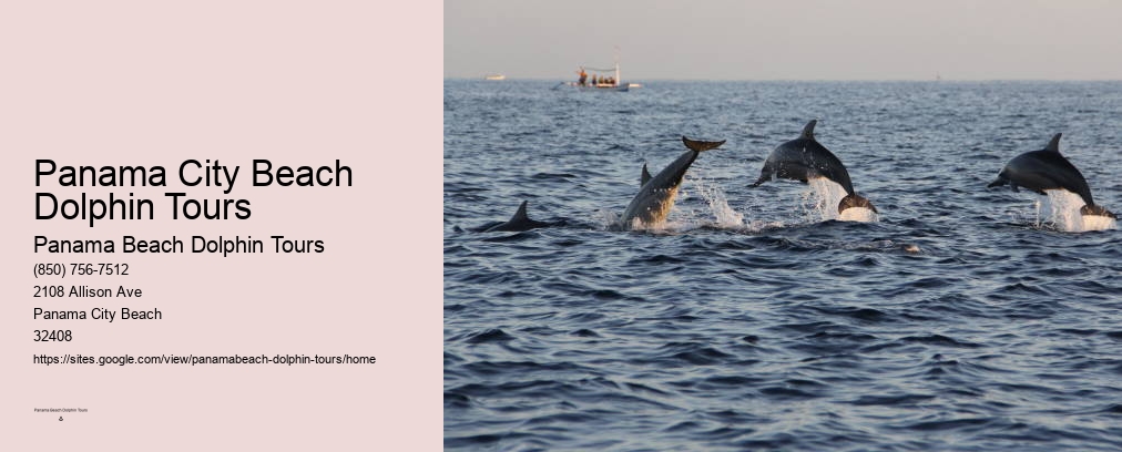 Panama City Beach Dolphin Tours