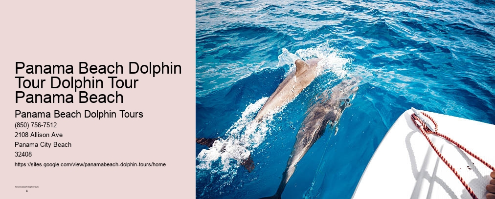 Dolphin Boat Ride Panama City Beach