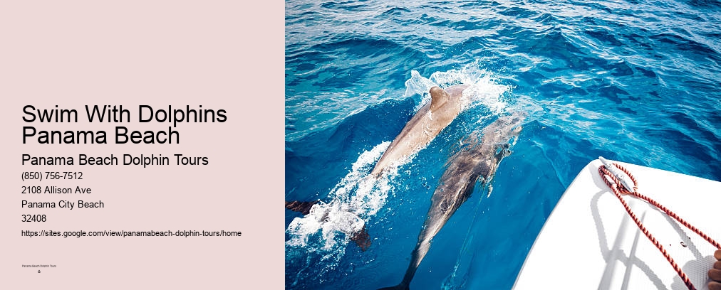 Dolphin Boat Ride Panama City Beach