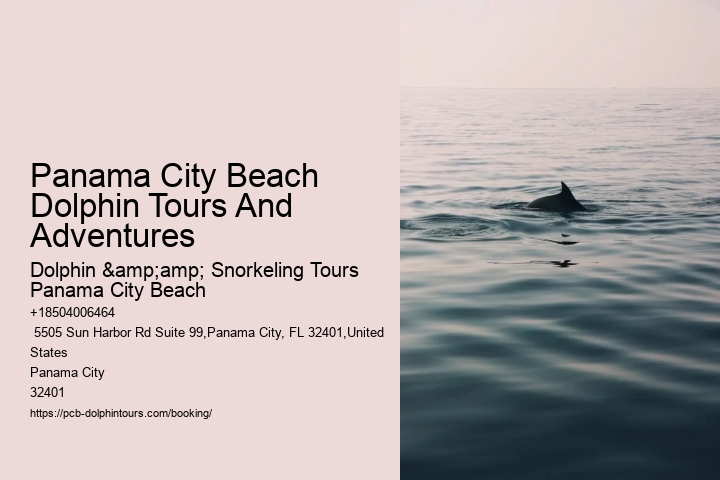 Panama City Beach Dolphin Tours And Adventures