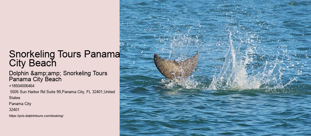 Snorkeling Tours Panama City Beach