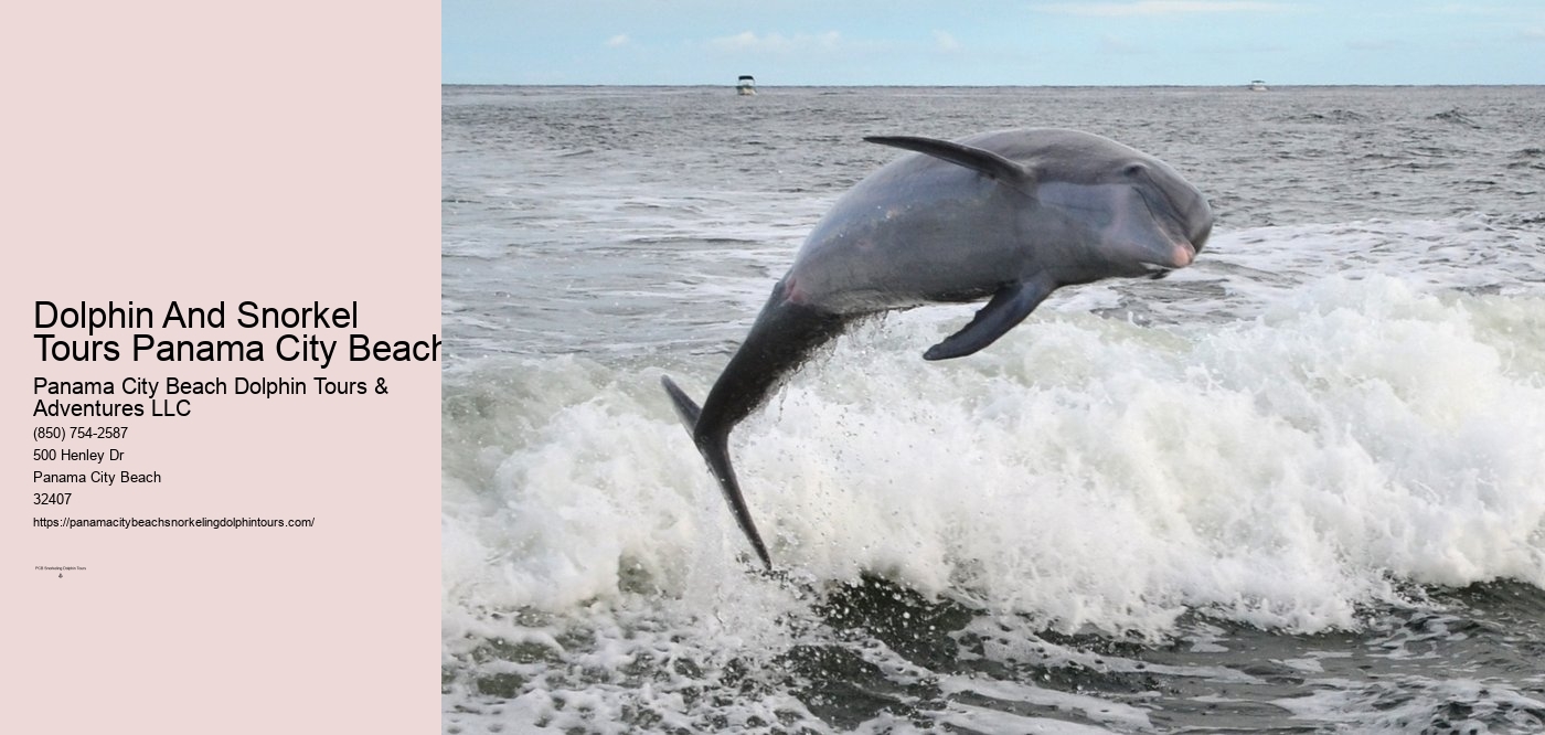 Panama City Beach Dolphin And Snorkel Tours