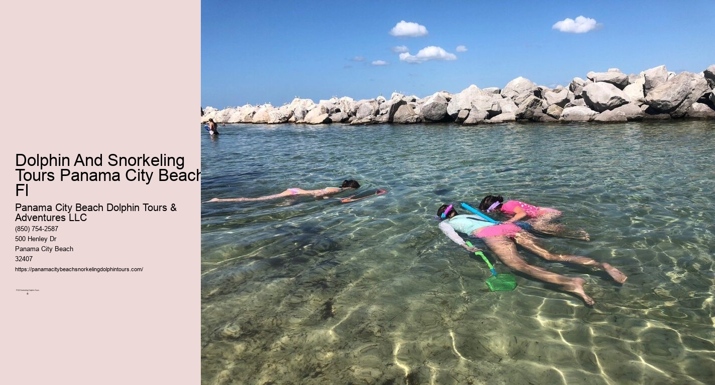Dolphin And Snorkeling Tours Panama City Beach Fl