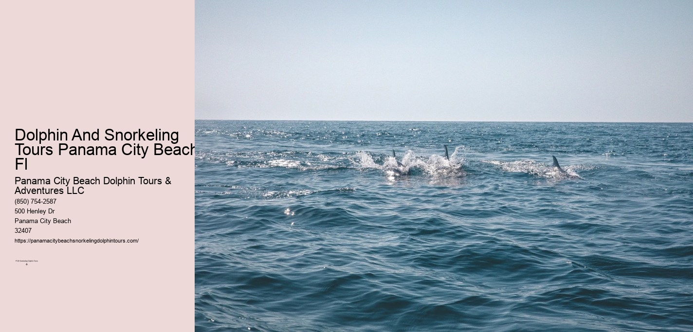 Dolphin & Snorkeling Tours Panama City Beach