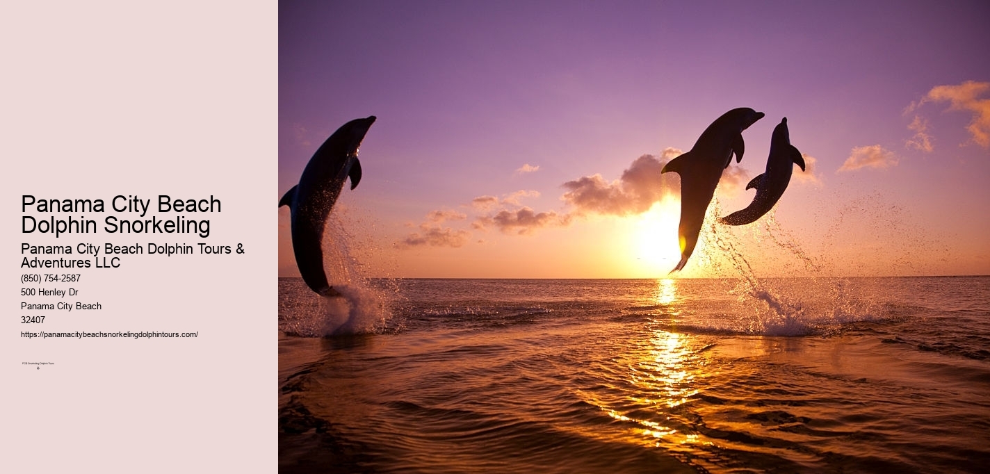 Dolphin Snorkeling Cruise