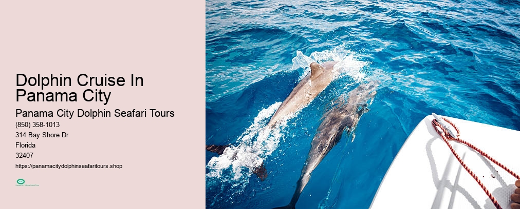 Panama City Dolphin Seafari Tours Reviews