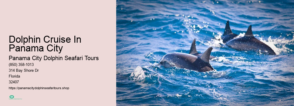 Panama City Dolphin Seafari Tours