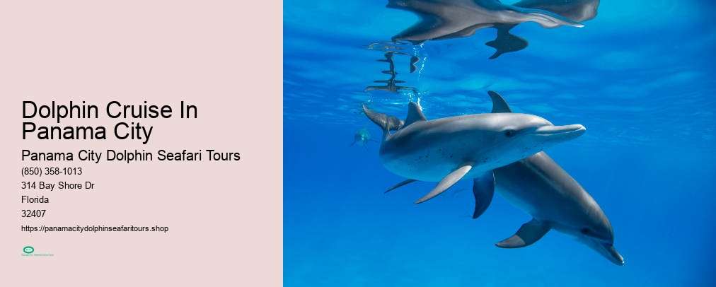 Panama City Dolphin Seafari