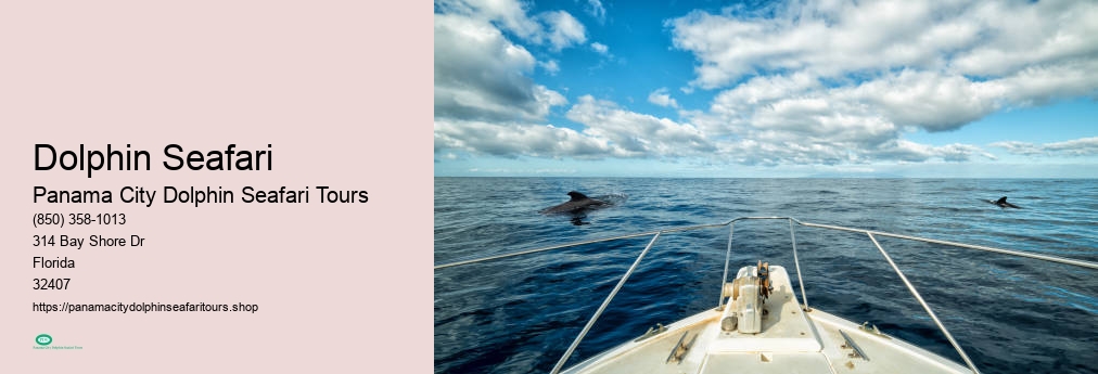 Dolphin Seafaris