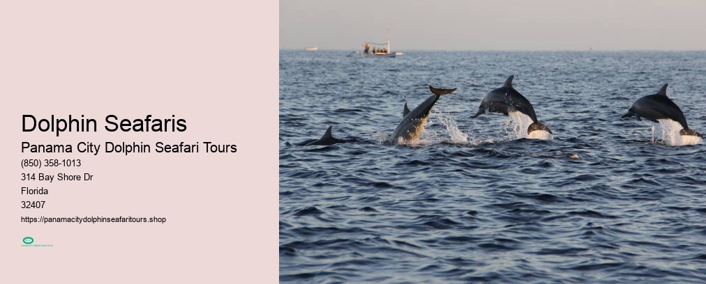 Panama City Dolphin Seafari Tours Reviews