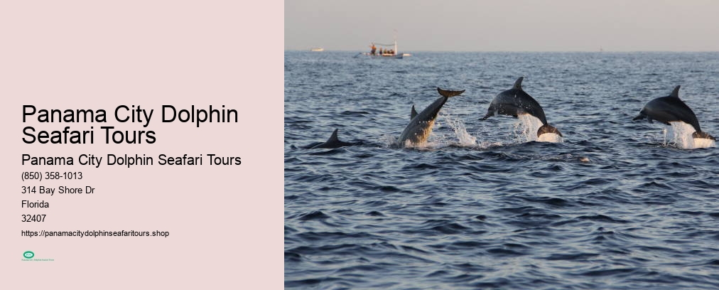 Panama City Dolphin Seafari Tours