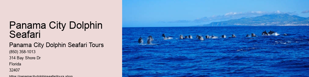 Panama City Dolphin Seafari