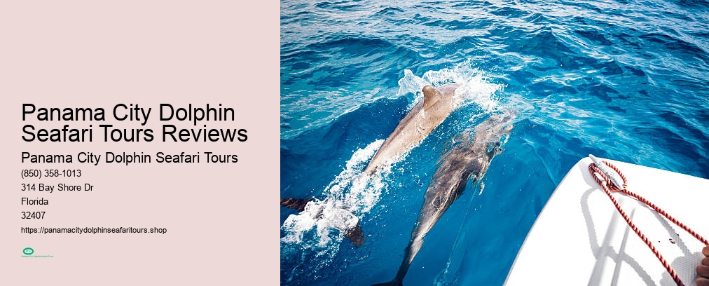 Panama City Dolphin Seafari Tours Reviews