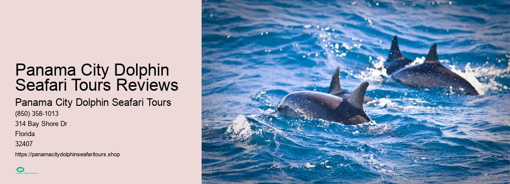 Panama City Dolphin Seafari Tours