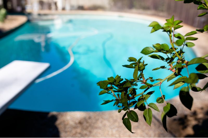 pool companies near me