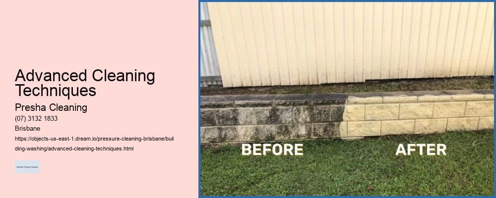 Advanced Cleaning Techniques