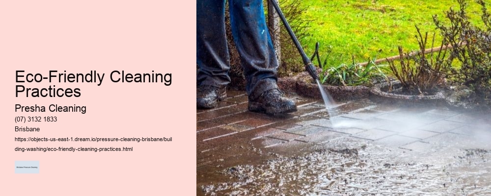 Eco-Friendly Cleaning Practices