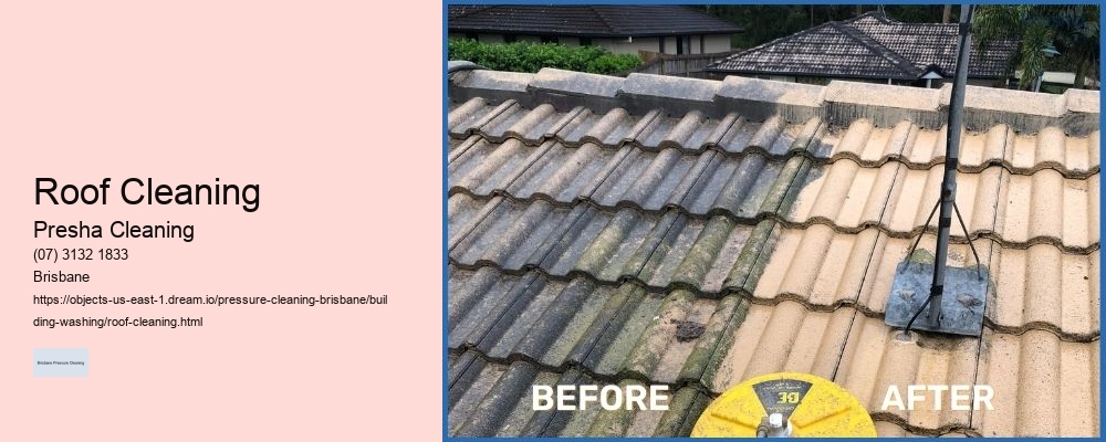 Roof Cleaning