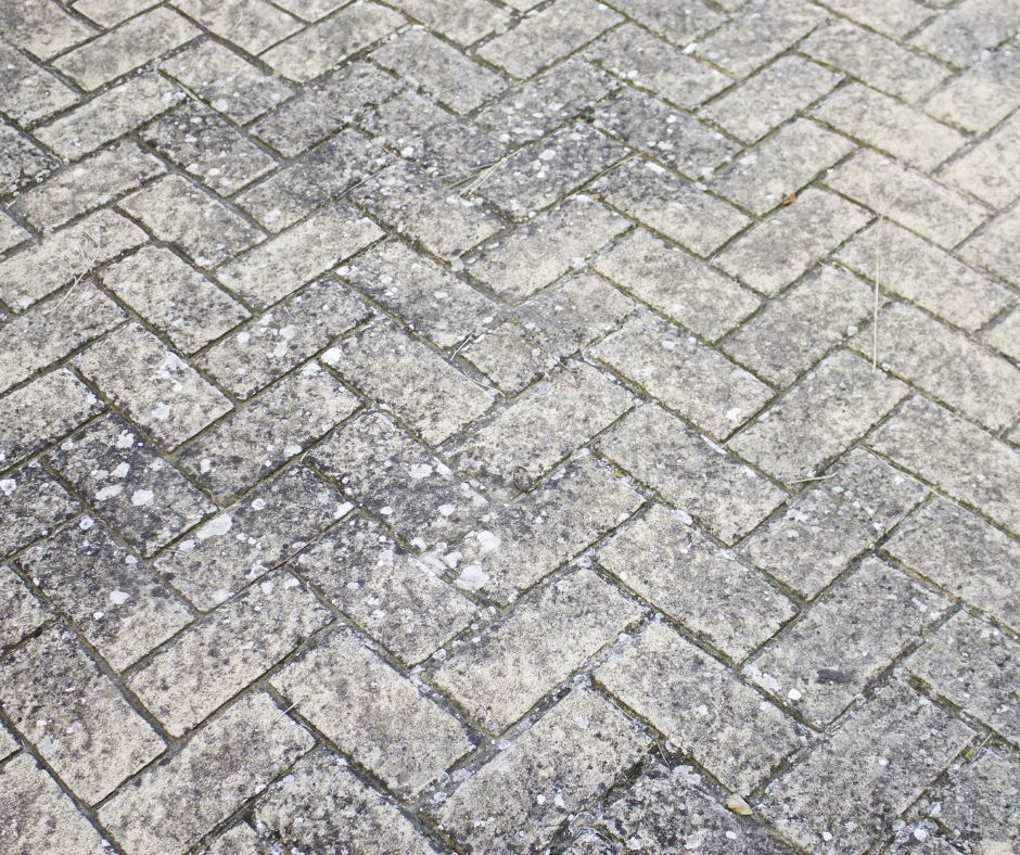 Why Concrete Surfaces Benefit from High-Pressure Cleaning