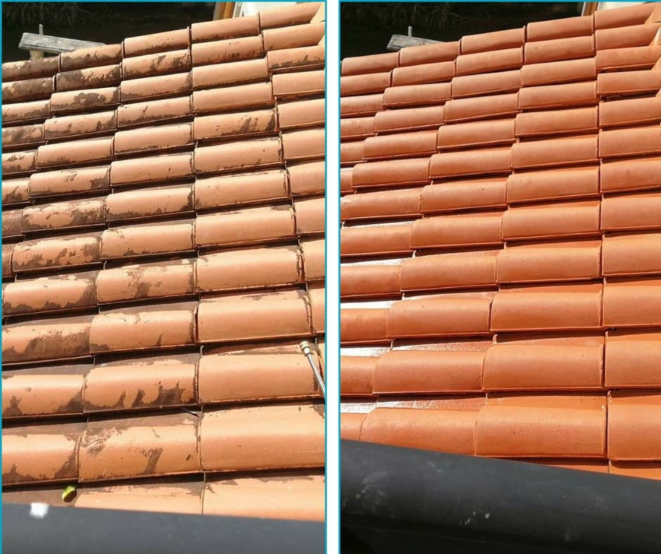 Deck Maintenance Services to Enhance Outdoor Appeal