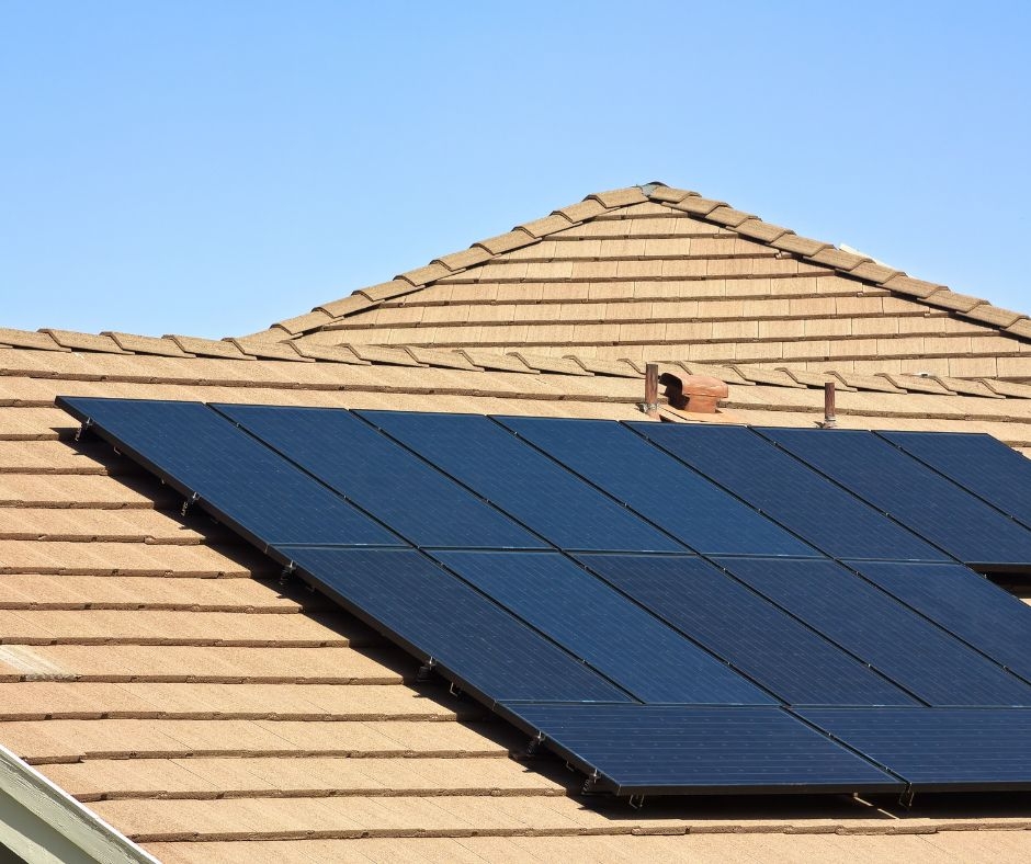 What causes mold and mildew growth on timber decks in Sutherland Shire?