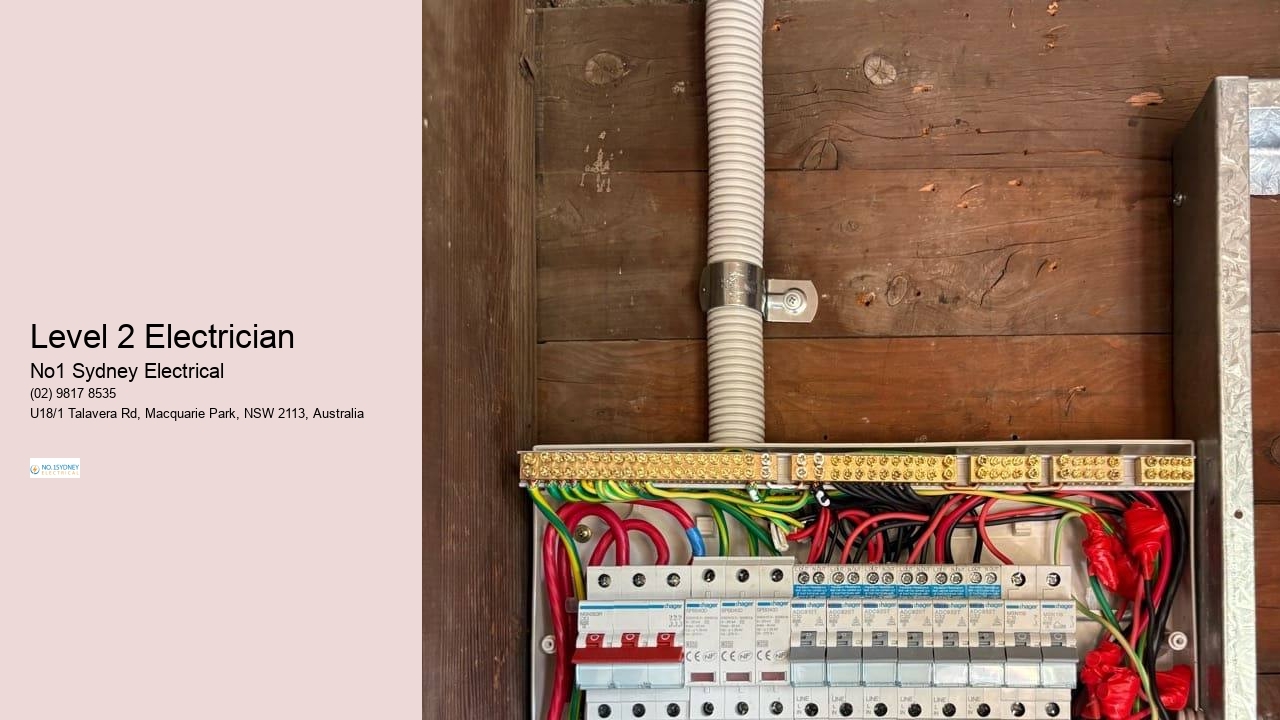 Level 2 Electrician