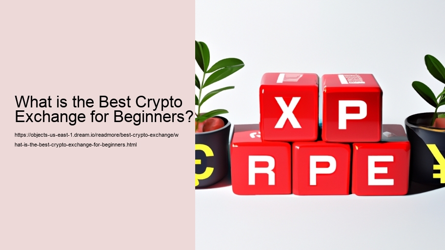 What is the Best Crypto Exchange for Beginners?