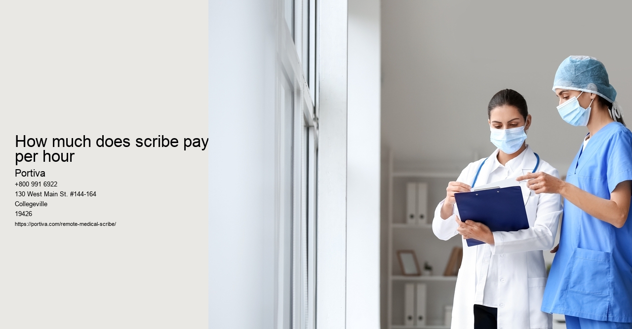 How much does scribe pay per hour