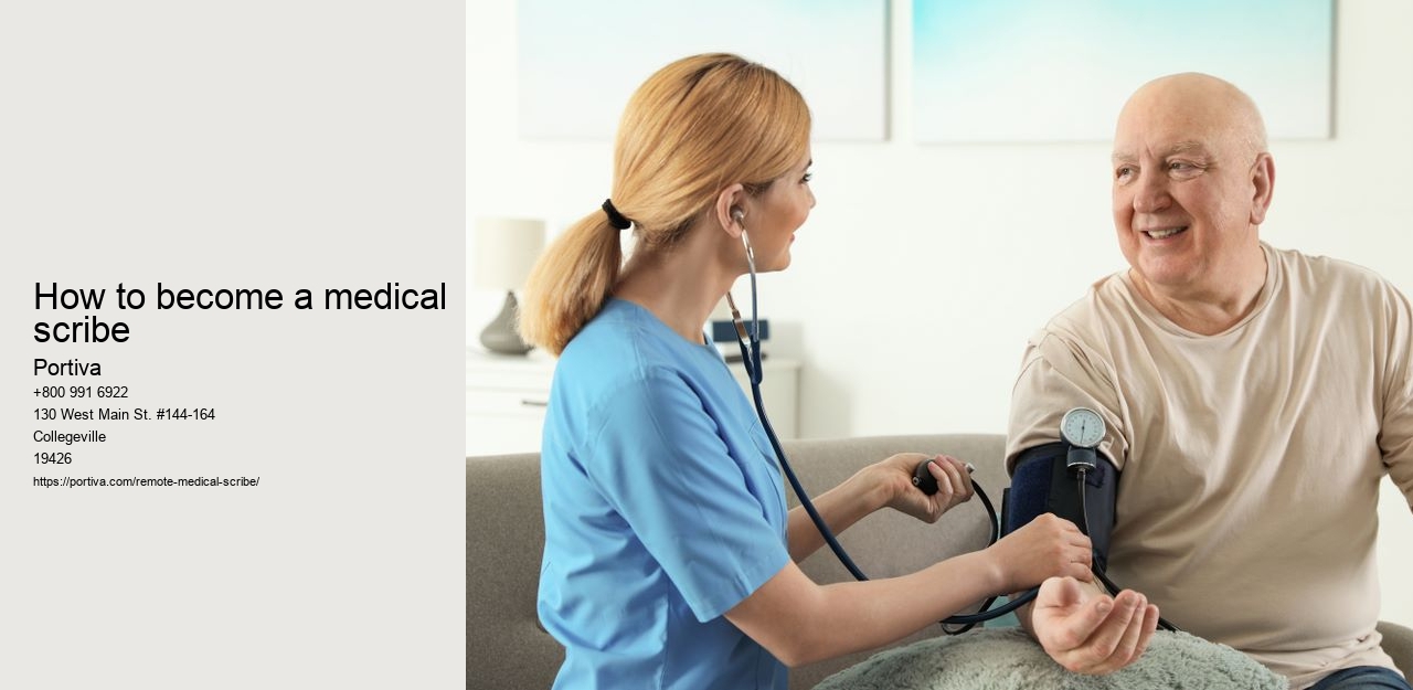 how to become a medical scribe