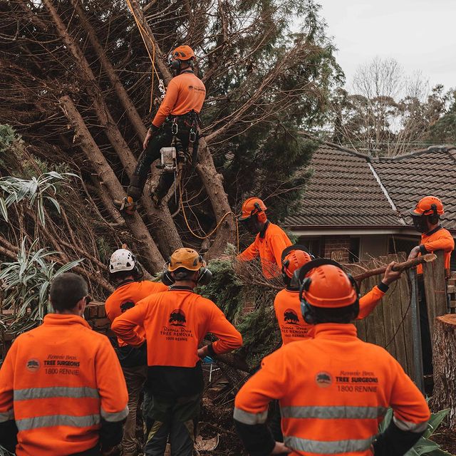 Eastern Tree Services