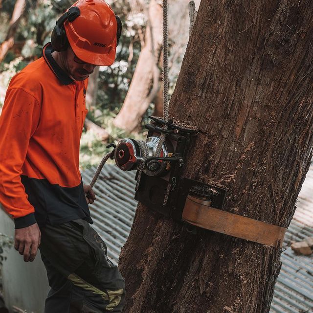 st george stump grinding