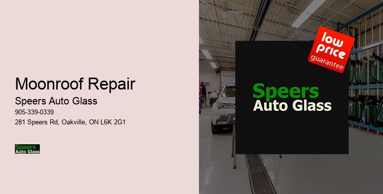 Moonroof Repair