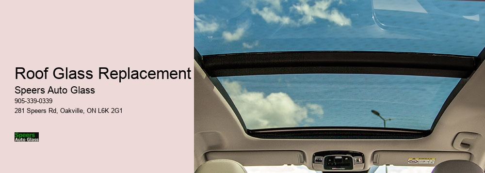 Roof Glass Replacement