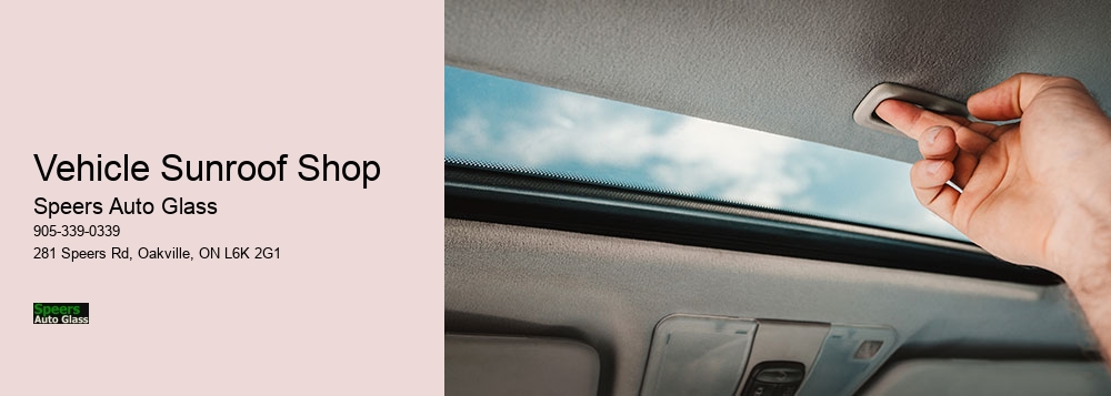 Vehicle Sunroof Shop
