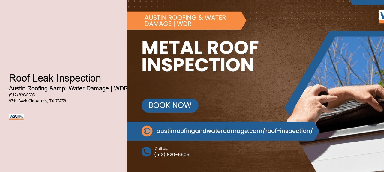 Roof Leak Inspection
