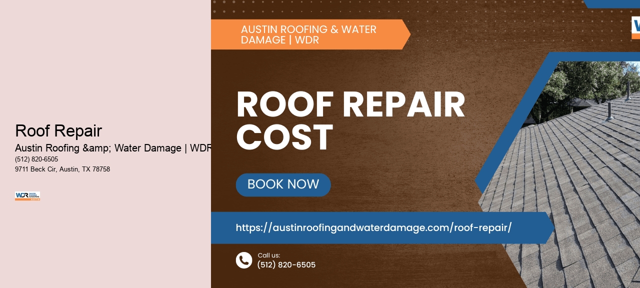 Roof Repair 