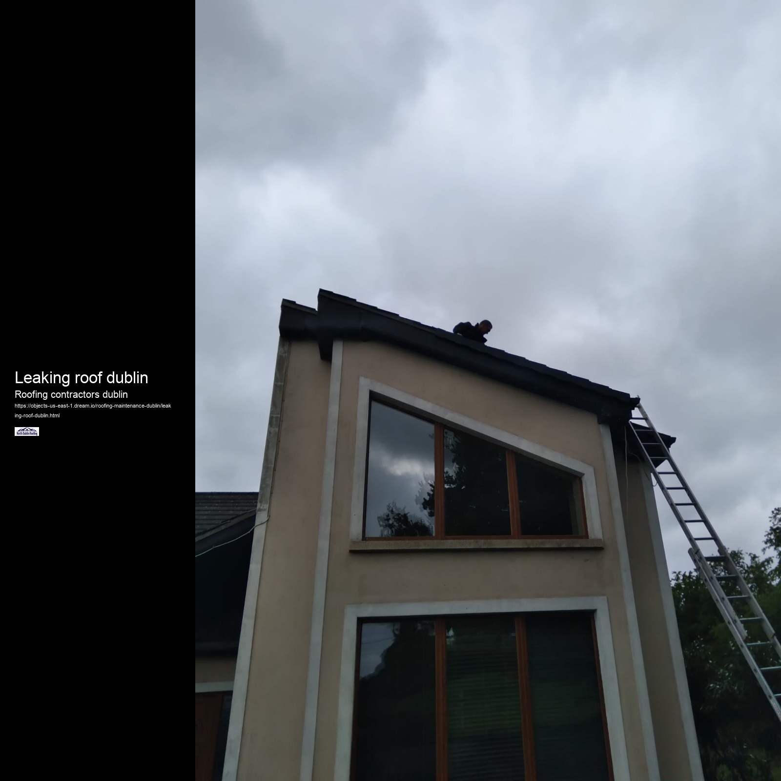 Leaking roof dublin