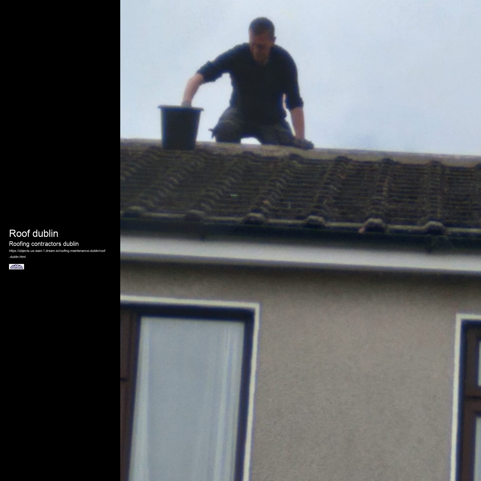 Roof dublin