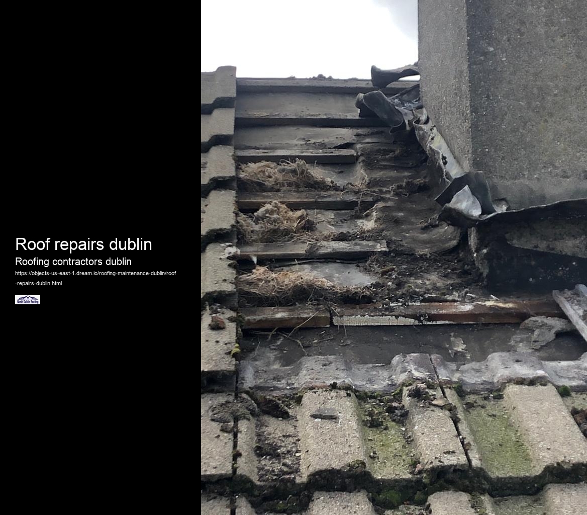 Roof repairs dublin