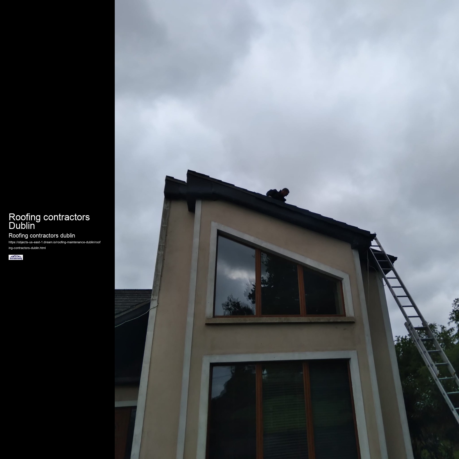 Roofing contractors Dublin