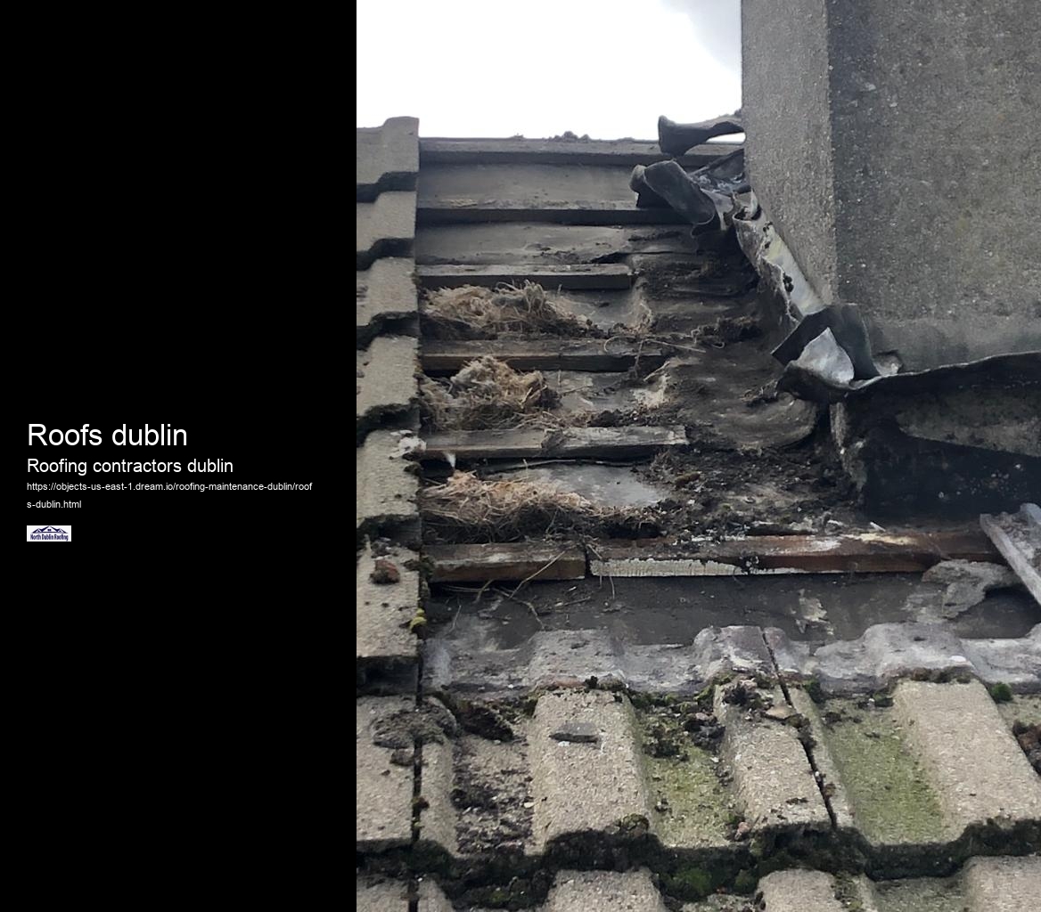 Roofs dublin