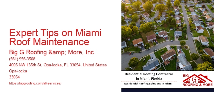 Expert Tips on Miami Roof Maintenance