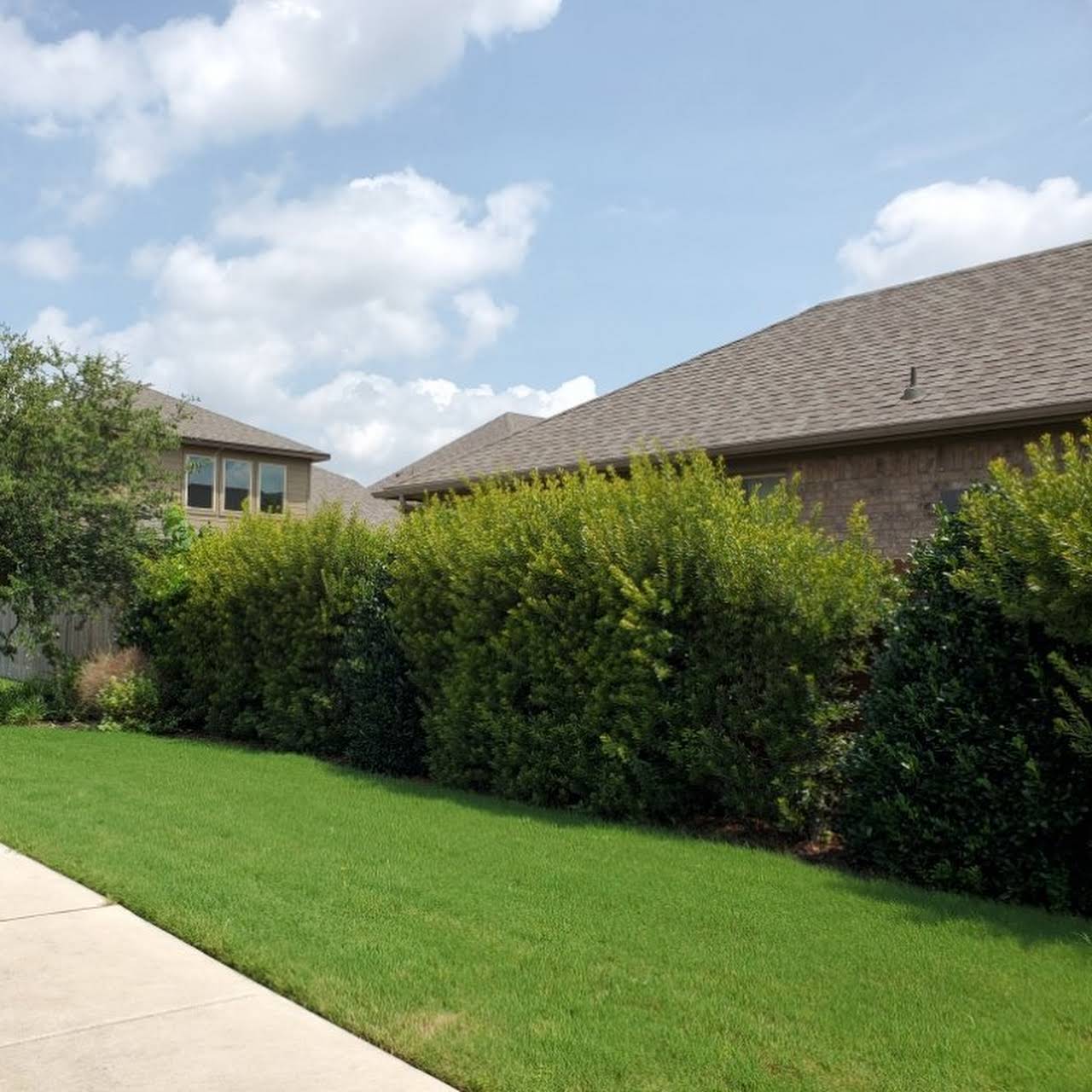 Round Rock Lawn Care Llc 54