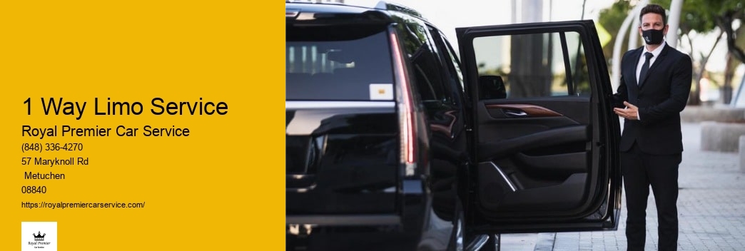 12 Passenger Van Limo Service