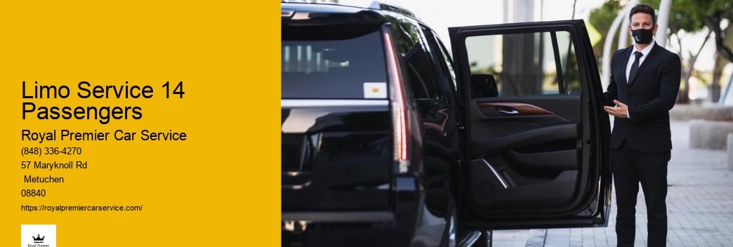 15 Passenger Van Limo Service