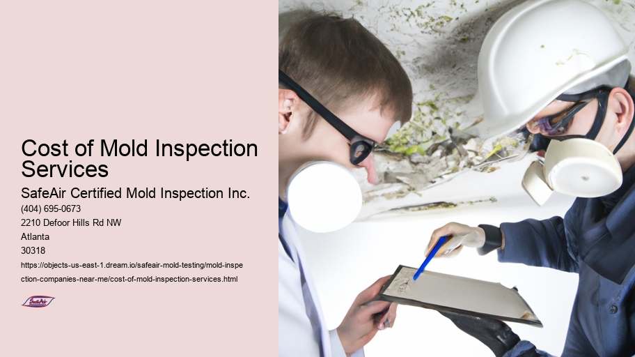 Cost of Mold Inspection Services