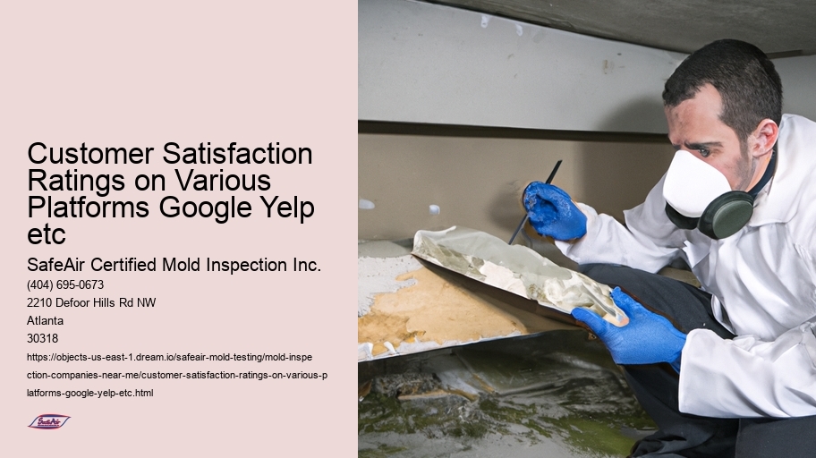 Customer Satisfaction Ratings on Various Platforms Google Yelp etc